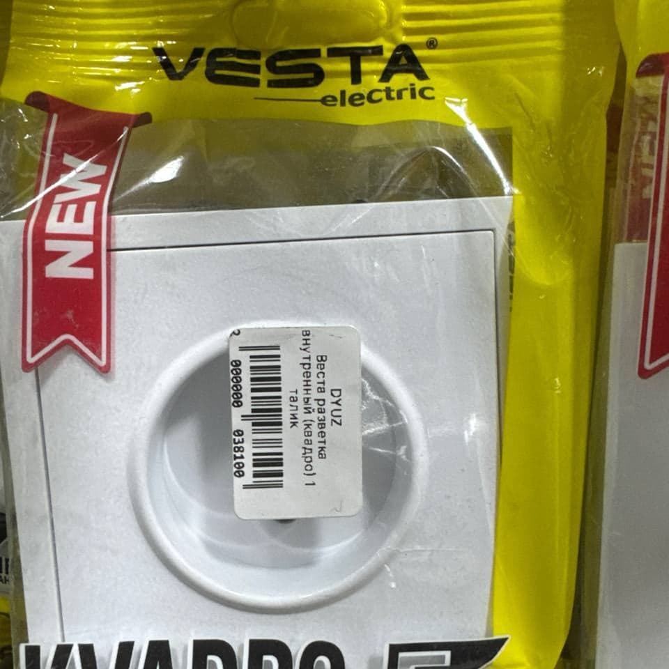 Встраиваемая розетка VESTA
